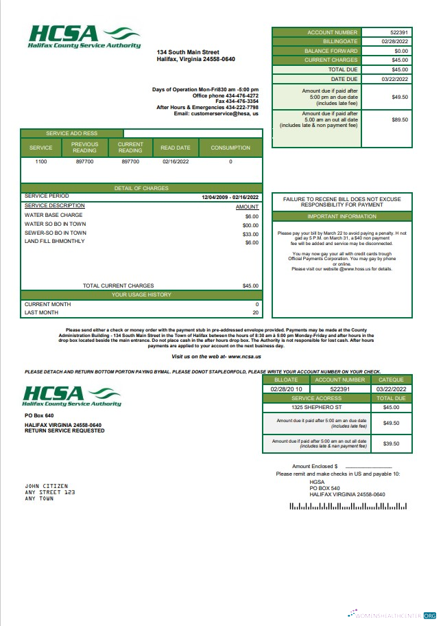 download download USA Virginia HCSA utility bill template in Word and PDF format PDF template PDF template